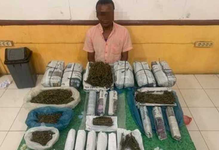 Polisi Ringkus Dua Pemilik Ganja Kering Asal Abdya dan Nagan Raya