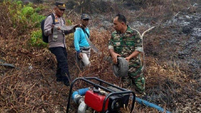 Perkebunan Sawit Milik PT Nafasindo Terbakar, Personel TNI/Polri Gerak Cepat Padamkan Api