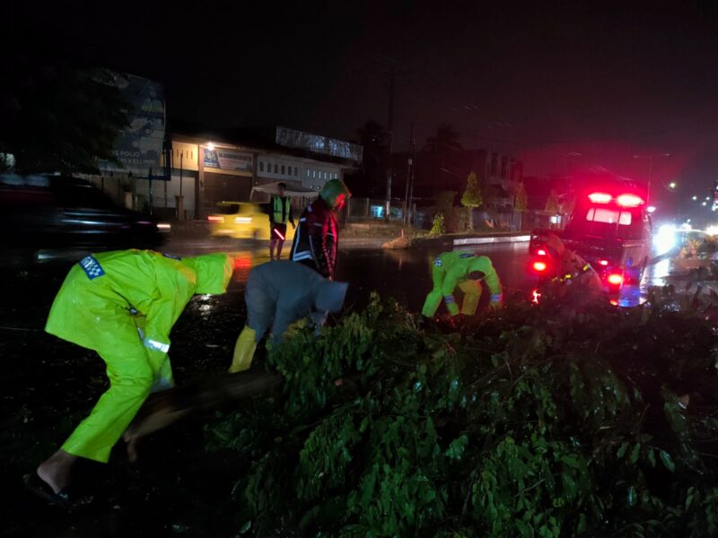 Polantas Lhokseumawe Bantu Pindahkan Pohon Tumbang di Jalan Lintas Medan - Banda Aceh