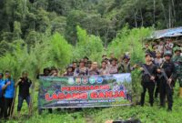 Satuan Brimob Polda Aceh Kompi 4 Batalyon C Pelopor Pemusnahan Ladang Ganja Sinergitas Bersama Menyelamatkan Generasi Muda, Rabu (27/09/2023).