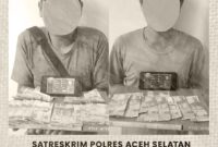 Satreskrim Polres Aceh Selatan menangkap dua pelaku perjudian online Chips Higgs Domino Island