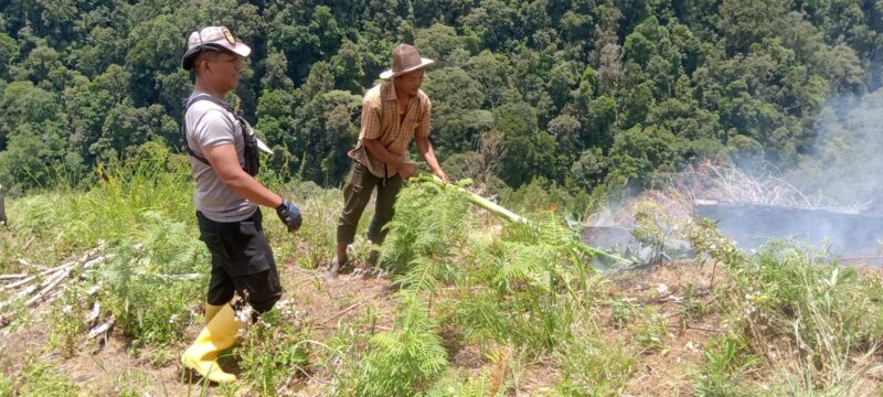 Aiptu Syamsuddin Ariga Kapospol Blangpegayon beserta Personel Meskipun Bulan Puasa, Tetap Sigap Padamkan Api Karhutla di Gayo Lues.