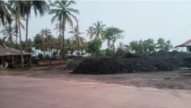 Area stokfile yang berlokasi di Kecamatan Cihara, Kabupaten Lebak, Banten.(Foto: TIMESLINES INEWS/Heru  Nurhadiyansyah)