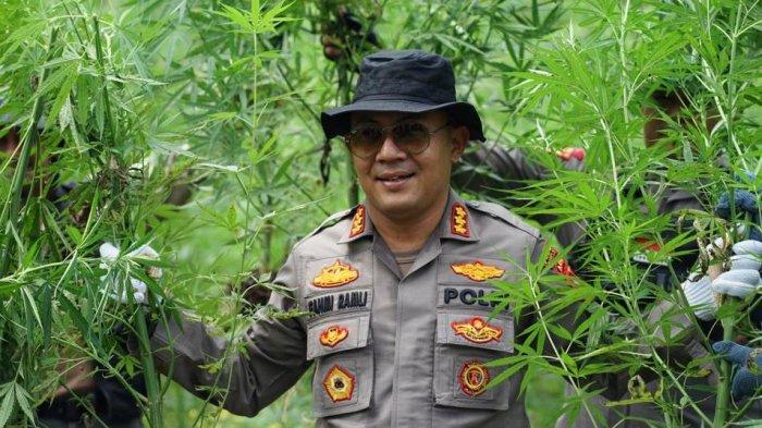 Foto Dok Polresta


Kapolresta Banda Aceh, Kombes Fahmi Irwan Ramli saat memusnahkan Iadang ganja di Lamteuba.