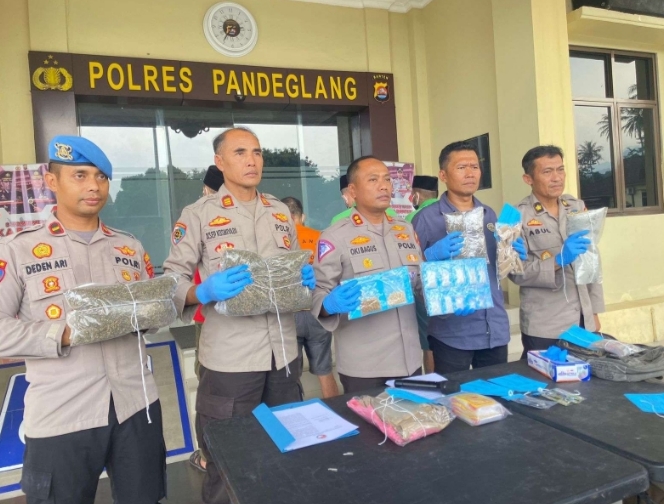 Kapolres Pandeglang, AKBP Oki Bagus Setiaji (tengah) bersama jajaran Polres Pandeglang, menunjukkan barang bukti ganja seberat 1,1 kg yang sudah dikemas dalam beberapa paket. (Foto: TIMESLINES INEWS/Heru Nurhadiyansyah)