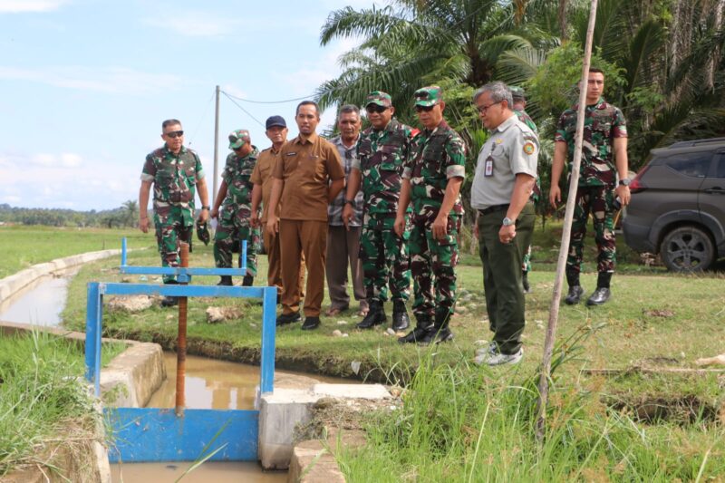 Brigjen TNI Ayi Supriatna, S.I.P., M.M., melakukan peninjauan langsung terhadap hasil proyek optimasi lahan rawa di wilayah Kodim 0104/Aceh Timur. Dalam kegiatan yang berlangsung pada Senin (19 Agustus 2024) 