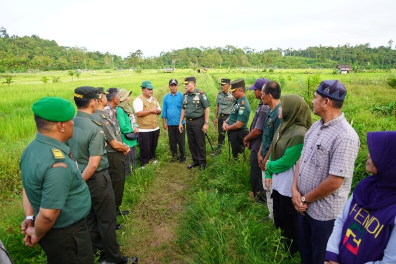 Mayor Jenderal TNI Niko Fachrizal, M.Tr. (Han) meninjau langsung pelaksanaan Optimalisasi Lahan (Opslah) di wilayah Kodim 0115/Simeulue, tepatnya di Desa Suak Buluh, Kecamatan Simeulue, 