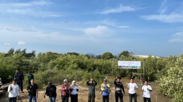 Aksi Hijau untuk Masa Depan Pesisir: Kolaborasi Penyemaian 1000 Bibit Mangrove di Mangrove Park Lampulo