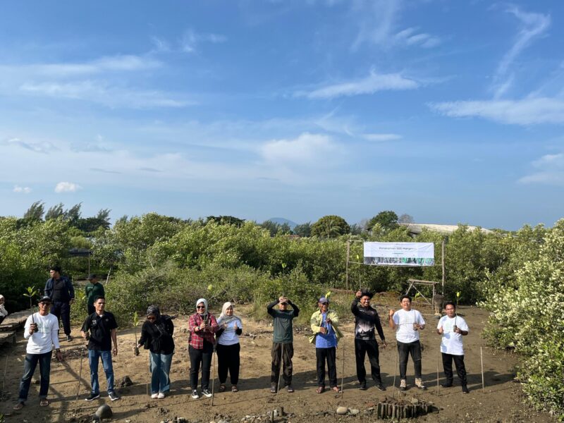 Aksi Hijau untuk Masa Depan Pesisir: Kolaborasi Penyemaian 1000 Bibit Mangrove di Mangrove Park Lampulo