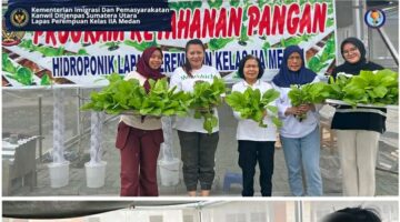 Wujudkan Ketahanan Pangan, Lapas Perempuan Medan Kembali Panen Sayuran Hidroponik