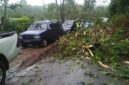 hujan yang mengguyur wilayah Kecamatan Timang Gajah, Kabupaten Bener Meriah, telah menyebabkan bencana tanah longsor yang menutup jalan lintas nasional Bireuen-Takengon, tepatnya di Kampung Karang Jadi.Senin (6/1/25).