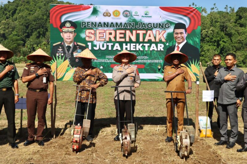 Kapolres Pidie Jaya Launching Penanaman Jagung Serentak 1 Juta Hektar,di Gampong Seunong, Kecamatan Meurah Dua, Selasa (21-01-2025)  .(Dok Ist).