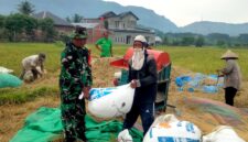 Mayor Jenderal TNI Niko Fahrizal, M.Tr. (Han), memerintahkan seluruh Komandan Distrik Militer (Dandim) di bawah jajaran Kodam Iskandar Muda untuk memberikan dukungan penuh kepada para petani di wilayah masing-masing. Provinsi Aceh. Kamis (30/1/25)