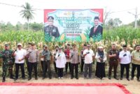 Wakapolda Aceh Panen Raya Jagung Tahap I secara Serentak di Kabupaten Pidie