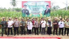 Wakapolda Aceh Panen Raya Jagung Tahap I secara Serentak di Kabupaten Pidie