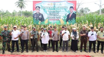 Wakapolda Aceh Panen Raya Jagung Tahap I secara Serentak di Kabupaten Pidie