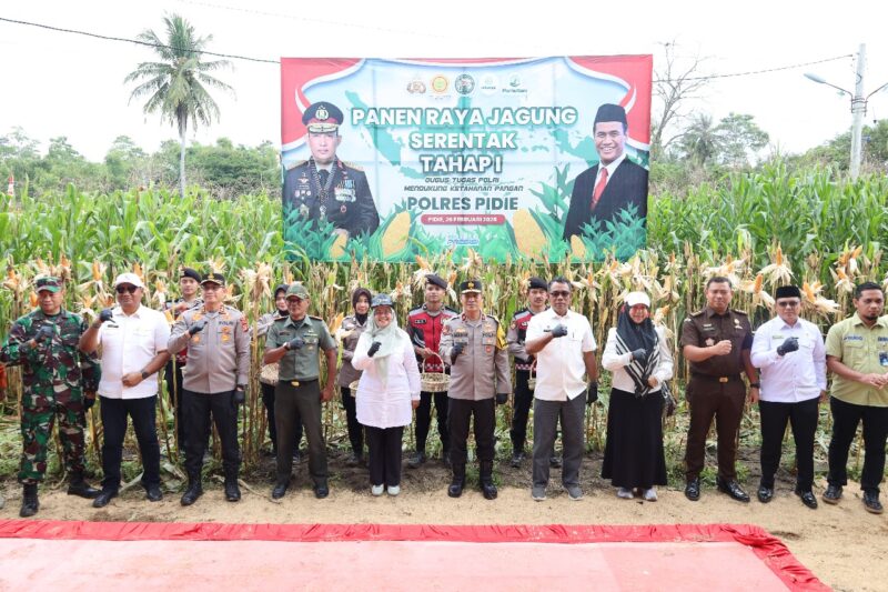 Wakapolda Aceh Panen Raya Jagung Tahap I secara Serentak di Kabupaten Pidie