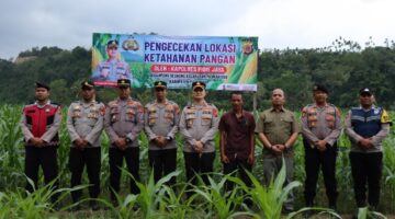 Dukung Swasembada Pangan, Kapolres Pidie Jaya Tinjau Lahan Jagung dan Panen Terong Bersama Petani