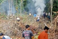 Warga Dusun Teupin Peuraho, Sedang Gotong Royong, minggu (23-02-2025) Foto. Jurnalis TLii.