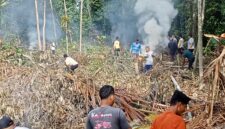 Warga Dusun Teupin Peuraho, Sedang Gotong Royong, minggu (23-02-2025) Foto. Jurnalis TLii.