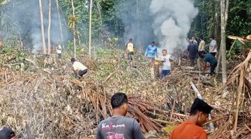 Warga Dusun Teupin Peuraho, Sedang Gotong Royong, minggu (23-02-2025) Foto. Jurnalis TLii.