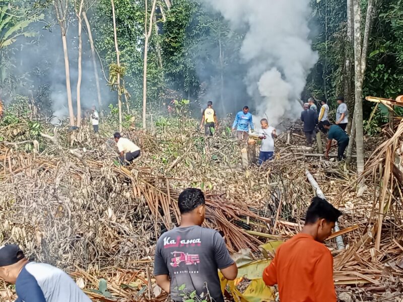 Warga Dusun Teupin Peuraho, Sedang Gotong Royong, minggu (23-02-2025) Foto. Jurnalis TLii.