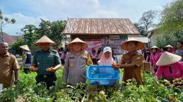 Kebun Sayur-Mayur di Gampong Deah Baru Jadi Pekarangan Pangan Lestari Binaan Bhayangkari Cabang Kota Banda Aceh