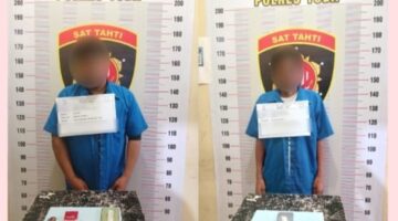 Satresnarkoba Polres Toba Tangkap Dua Orang Terduga Pelaku Pemakai Ganja.