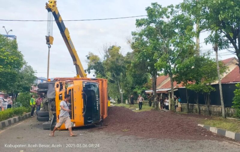 Truk Terguling di Simpang Dodik, Muatan Sawit Brondol Tumpah Ruah ke Jalan