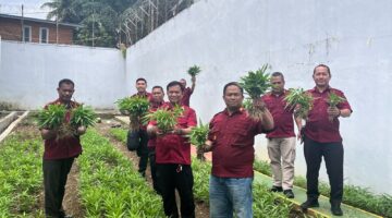 Lapas Blangkejeren Gelar Panen Raya Kangkung dalam Rangka Mendukung Program Ketahanan Pangan