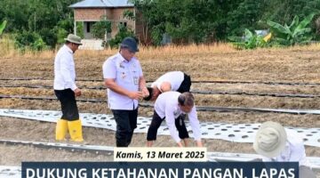 Dukung Ketahanan Pangan, Lapas Padangsidimpuan Mulai Menanam Bawang Merah