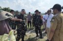  Mayor Jenderal TNI Niko Fahrizal, M.Tr.(Han), menegaskan komitmen Kodam IM dalam membantu pemerintah mewujudkan ketahanan pangan nasional.