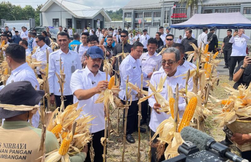 Panen Perdana Di Nusakambangan: Bangun Lumbung Ketahanan Pangan Dan Berikan Kesempatan Bagi Warga Binaan
